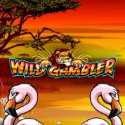 WildGambler